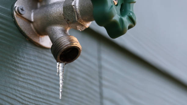 Sprinkler Systems in Lauderhill, FL